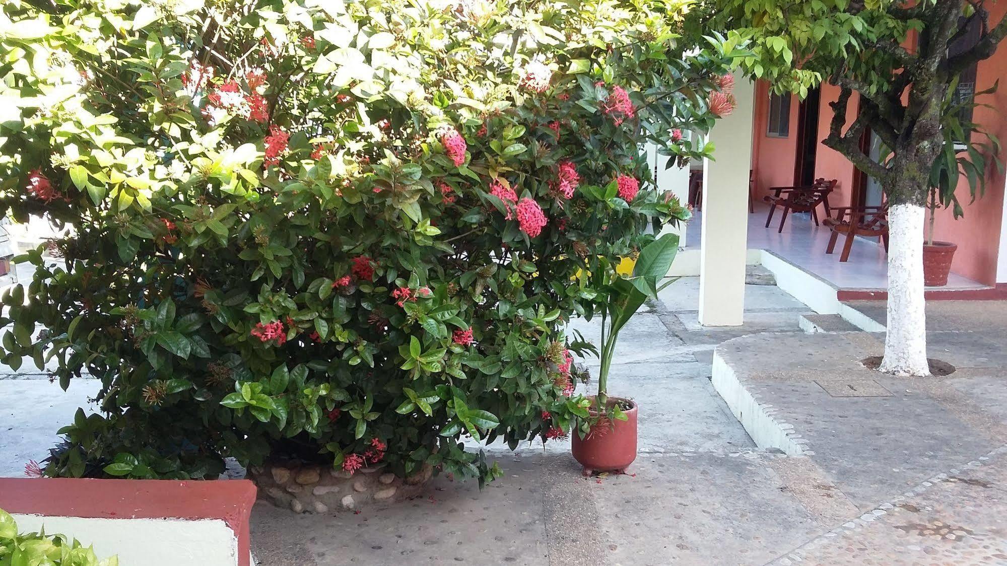 Hotel Mallorca Palenque Kültér fotó